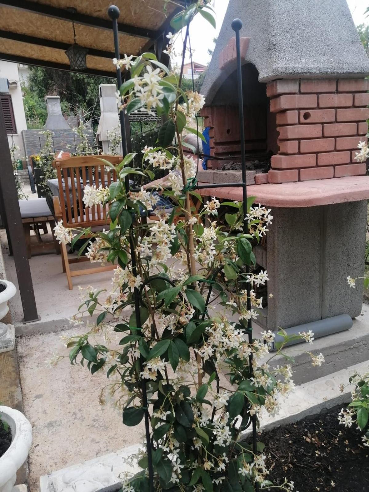 Apartments Kursan Seget Vranjica Kültér fotó